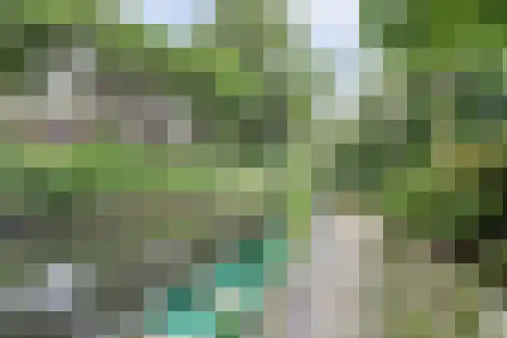 Galoppeerbaan 10 Amersfoort thumbnail 33