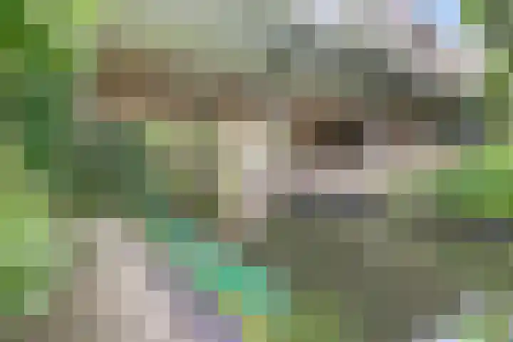 Galoppeerbaan 10 Amersfoort thumbnail 34