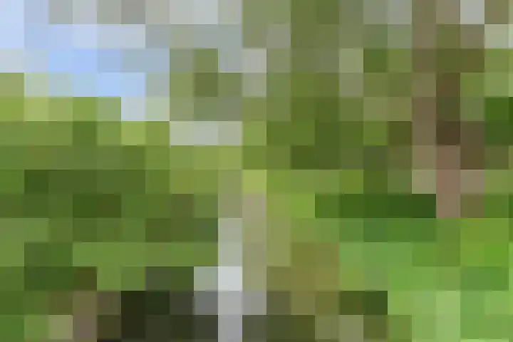 Galoppeerbaan 10 Amersfoort thumbnail 35
