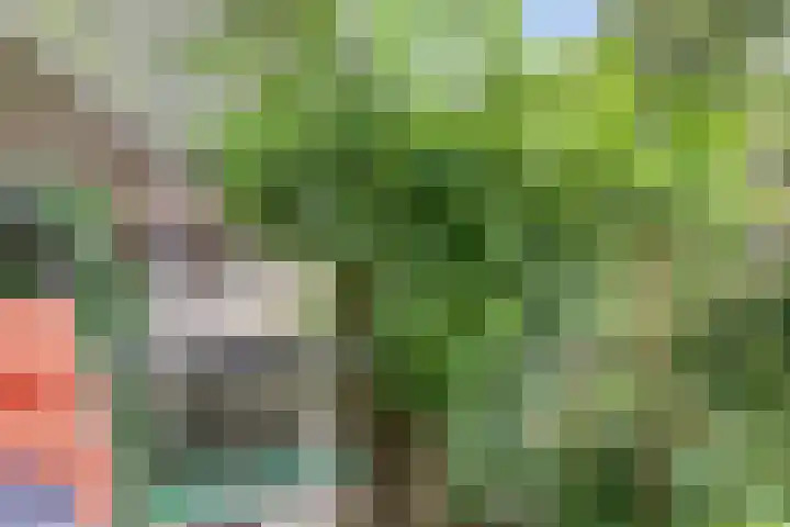 Galoppeerbaan 10 Amersfoort thumbnail 36