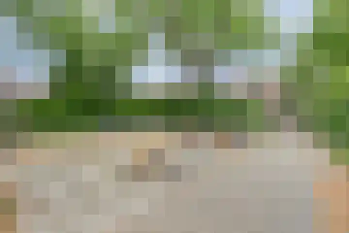 Galoppeerbaan 10 Amersfoort thumbnail 38