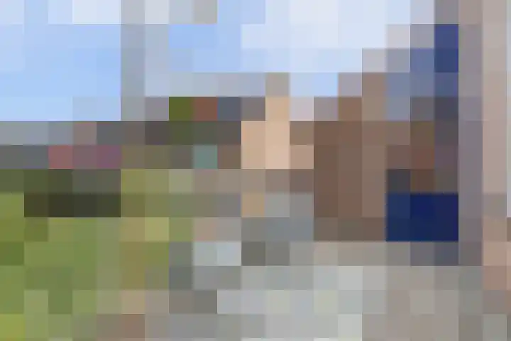 Galoppeerbaan 10 Amersfoort thumbnail 4