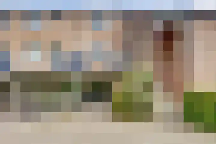 Galoppeerbaan 10 Amersfoort thumbnail 45