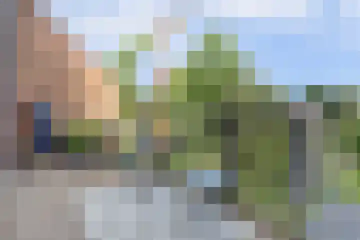 Galoppeerbaan 10 Amersfoort thumbnail 5