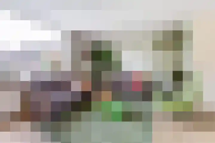 Galoppeerbaan 10 Amersfoort thumbnail 6