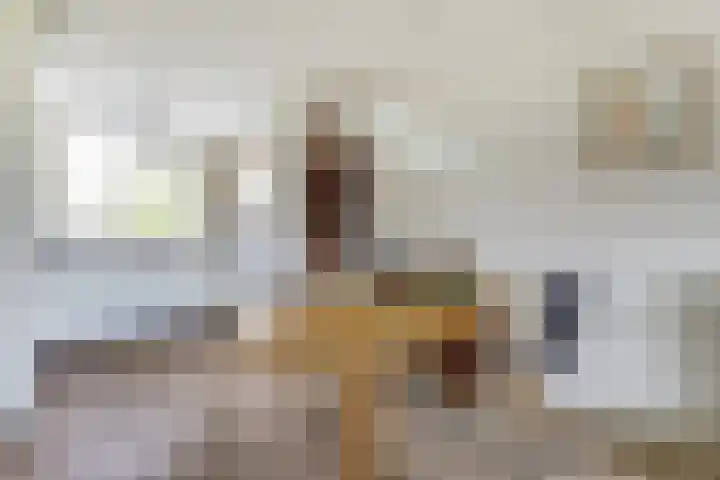 Galoppeerbaan 10 Amersfoort thumbnail 9