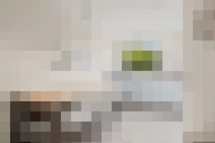 Galoppeerbaan 12 Amersfoort thumbnail 13