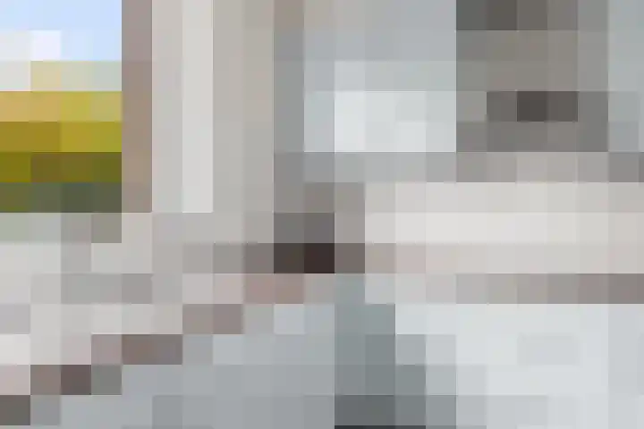 Galoppeerbaan 12 Amersfoort thumbnail 15