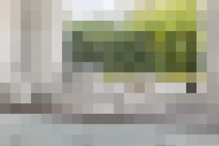 Galoppeerbaan 12 Amersfoort thumbnail 16