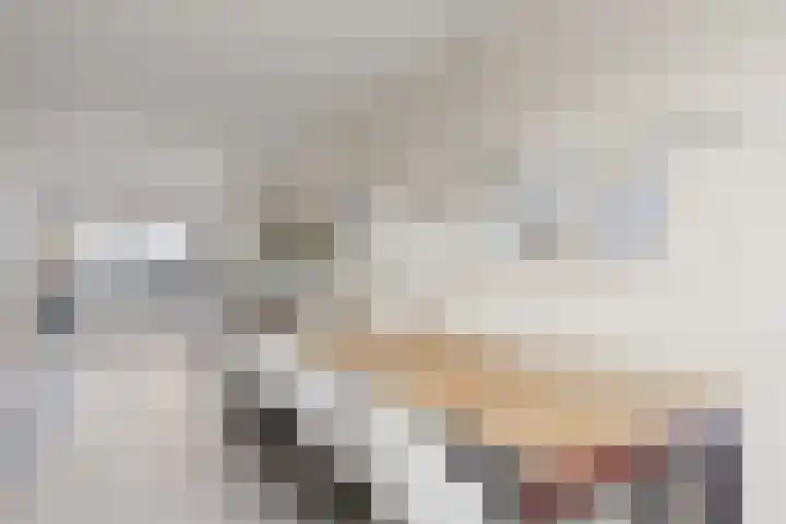 Galoppeerbaan 12 Amersfoort thumbnail 18