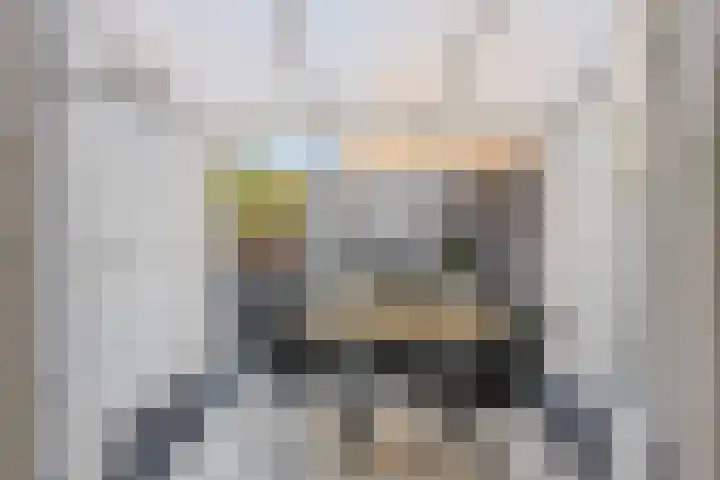 Galoppeerbaan 12 Amersfoort thumbnail 19