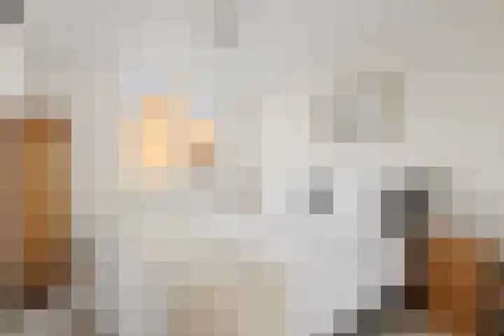Galoppeerbaan 12 Amersfoort thumbnail 25
