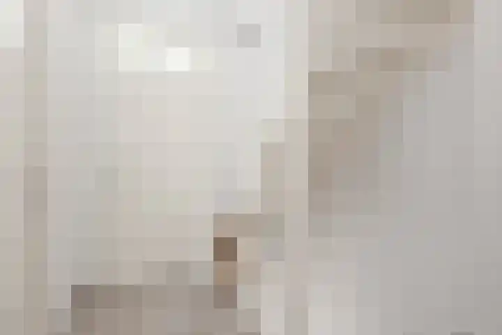 Galoppeerbaan 12 Amersfoort thumbnail 34