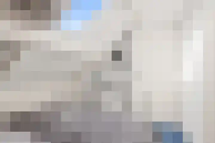 Galoppeerbaan 12 Amersfoort thumbnail 38
