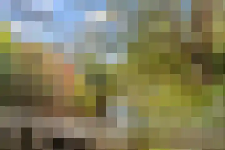 Galoppeerbaan 12 Amersfoort thumbnail 51