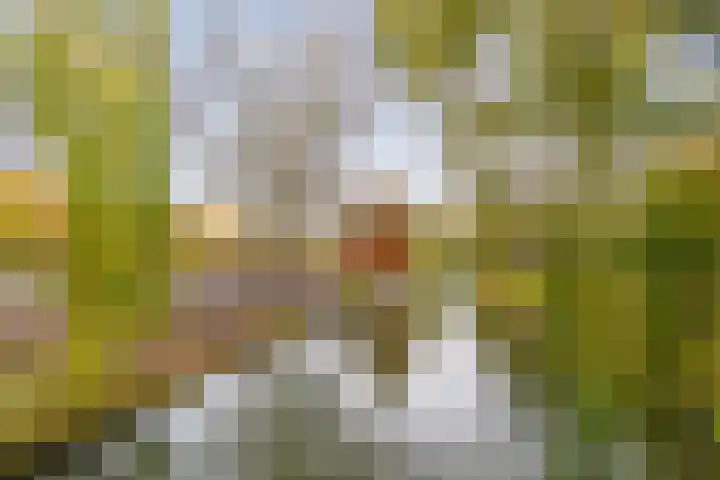 Galopstraat 21 Almere thumbnail 56