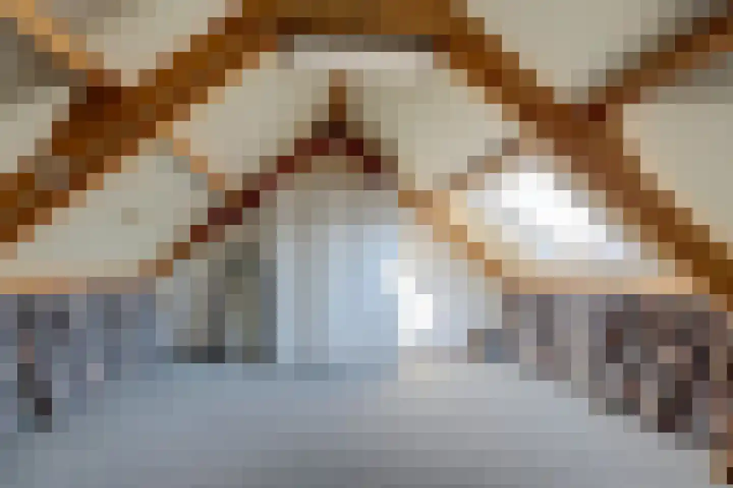 Galubastraat 28 Dorst thumbnail 26