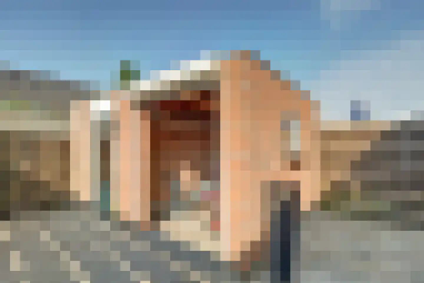 Galubastraat 28 Dorst thumbnail 30