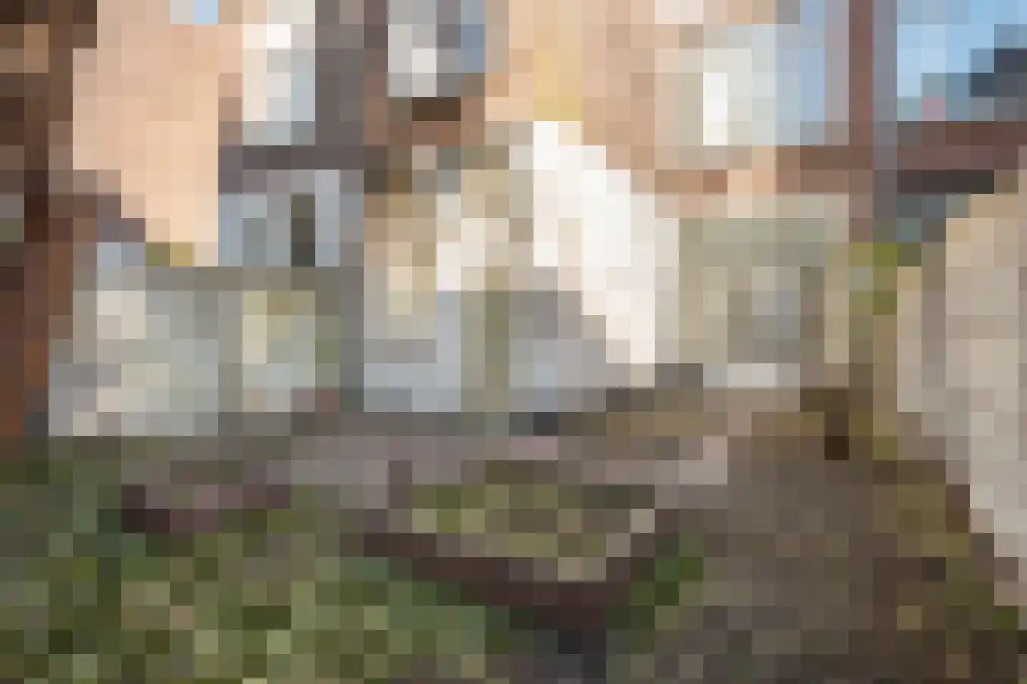 Galvanistraat 10 Den Haag thumbnail 13