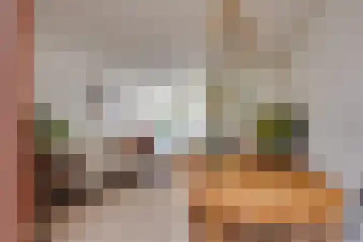 Galvanistraat 15 Utrecht thumbnail 8