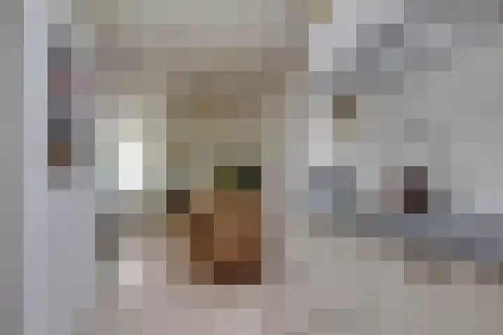 Galvanistraat 15 Utrecht thumbnail 9