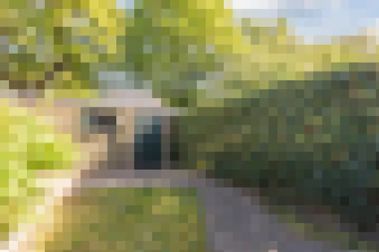 Galvanistraat 16 Nijmegen thumbnail 57