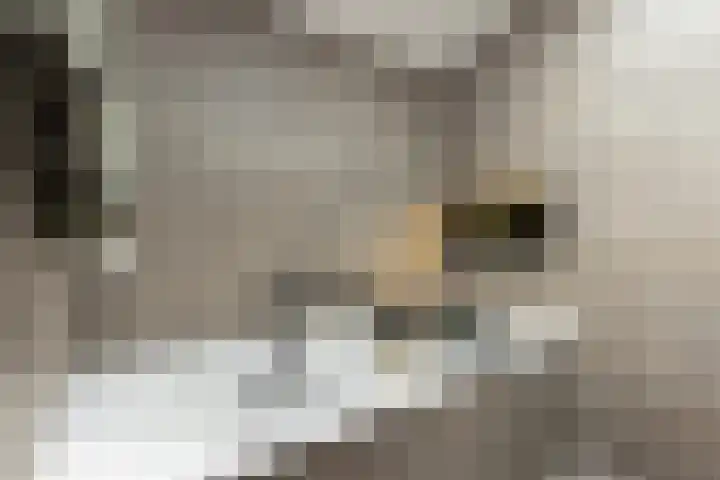 Galvanistraat 16 Schoonhoven thumbnail 33