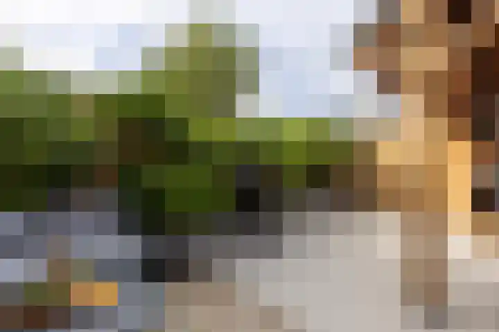 Galvanistraat 16 Schoonhoven thumbnail 4