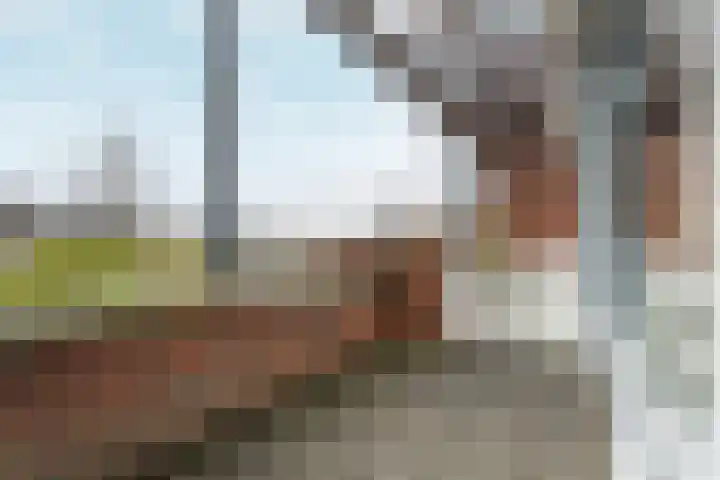 Galvanistraat 50 Nijmegen thumbnail 14