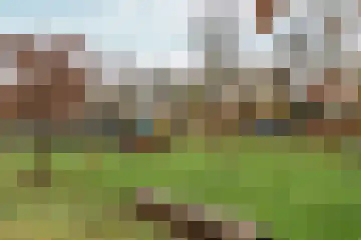 Galvanistraat 50 Nijmegen thumbnail 34