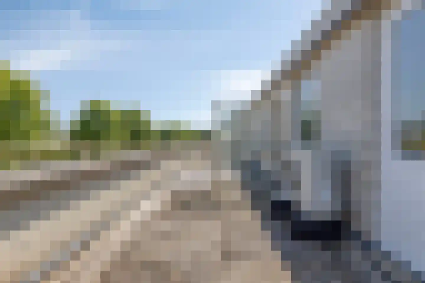 Galvanistraat 51 Nijmegen thumbnail 30