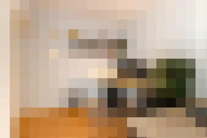 Galvanistraat 6 Utrecht thumbnail 28