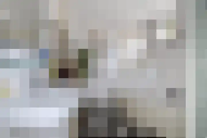 Galvanistraat 6 Utrecht thumbnail 34