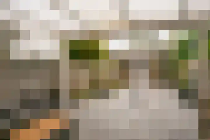 Galvanistraat 66 Nijmegen thumbnail 10