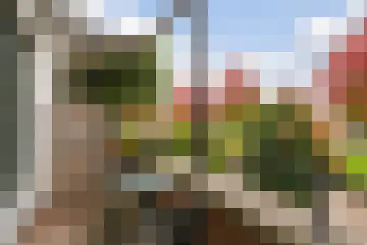 Galvanistraat 66 Nijmegen thumbnail 21