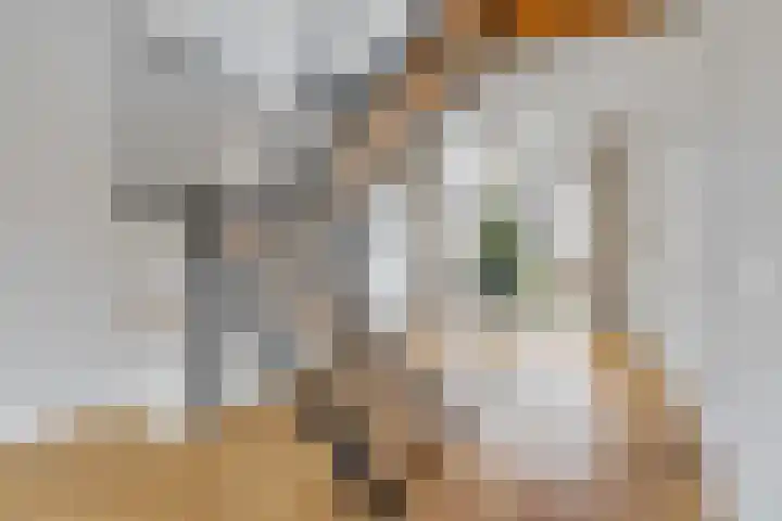 Galvaniweg 2 Breda thumbnail 13