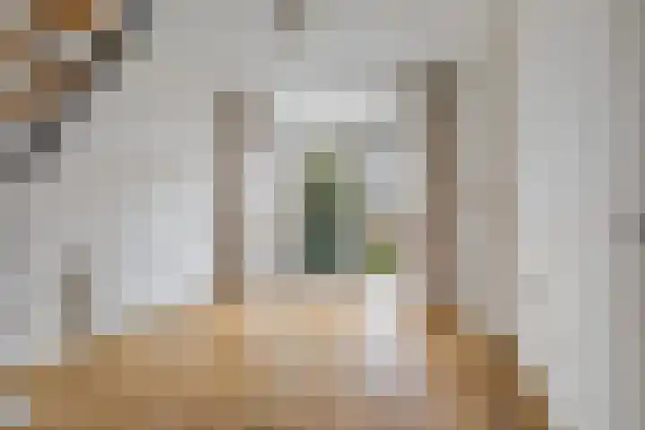 Galvaniweg 2 Breda thumbnail 14