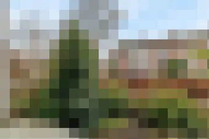 Galvaniweg 2 Breda thumbnail 18