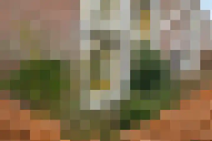 Galvaniweg 2 Breda thumbnail 19