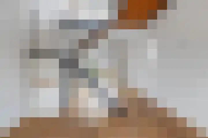 Galvaniweg 2 Breda thumbnail 22