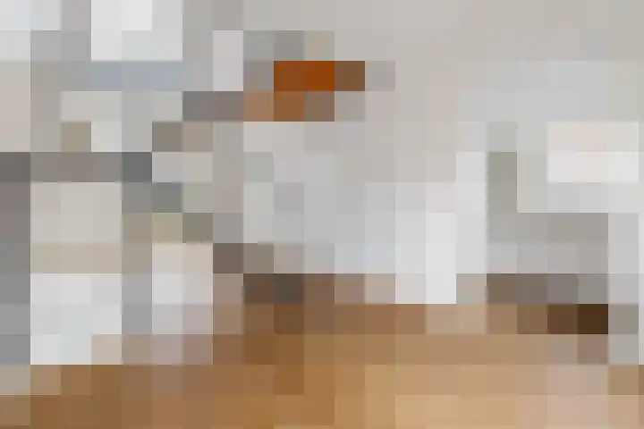 Galvaniweg 2 Breda thumbnail 23