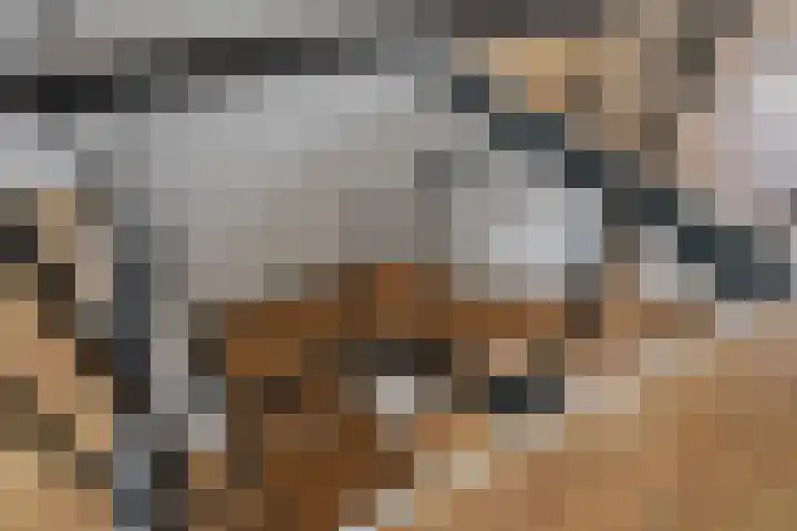 Galvaniweg 2 Breda thumbnail 29