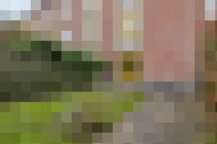 Galvaniweg 2 Breda thumbnail 49