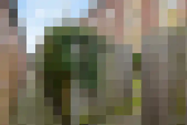 Galvaniweg 2 Breda thumbnail 51