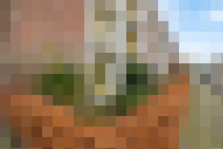 Galvaniweg 2 Breda thumbnail 52
