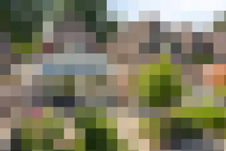 Gamander 24 Dronten thumbnail 34