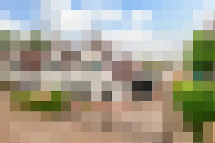 Gamander 34 en Dronten