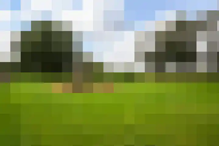 Gamander 34 Dronten thumbnail 32