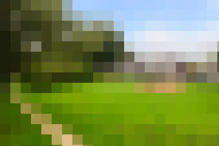 Gamander 34 Dronten thumbnail 5