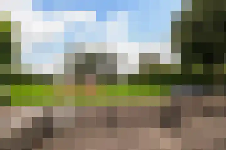 Gamander 34 Dronten thumbnail 6